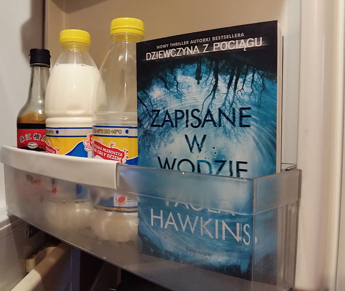"Zapisane w wodzie" Pauli Hawkins – Miasto Książek